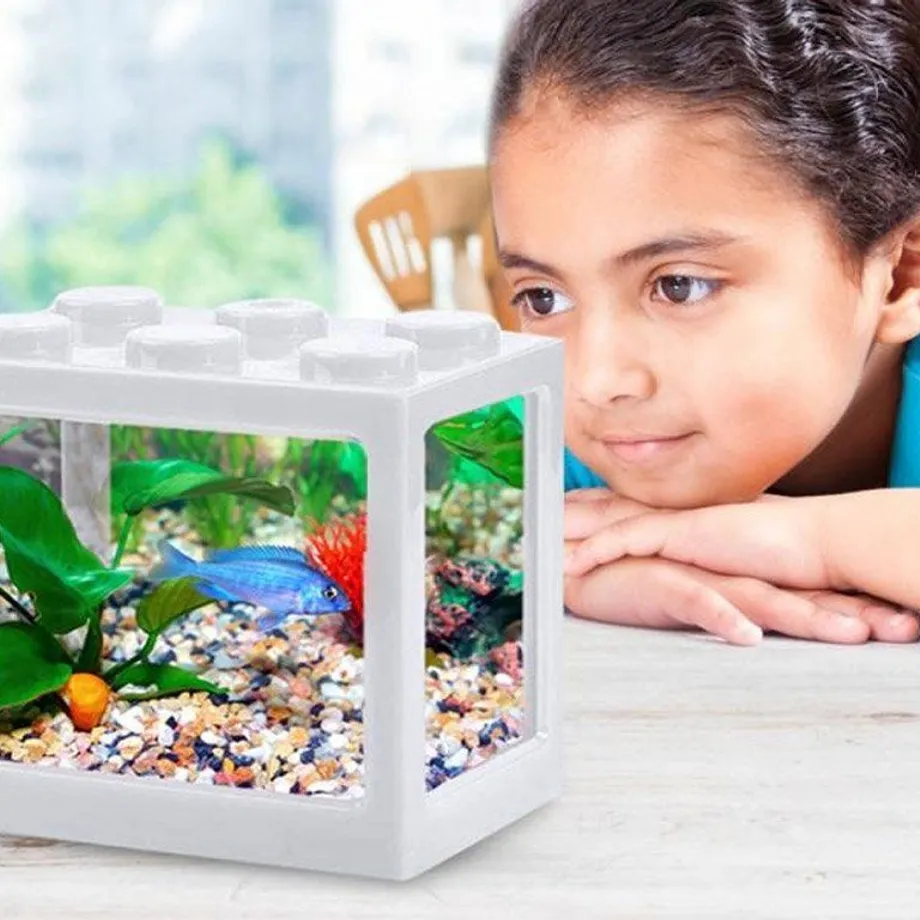 Mini aquarium Kostka