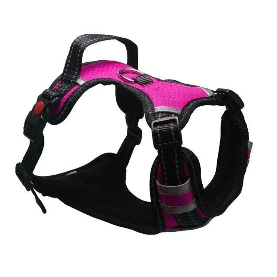 Postroj pro velké psy purple s-chest-40-70cm