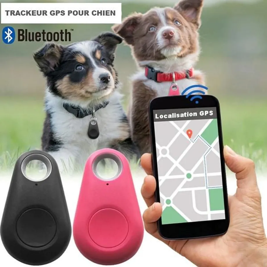 DogTracker: GPS sledovací čip pro sledování psa