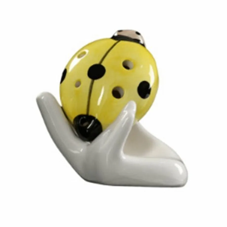 Lady Beetle Ocarina 6 jamkové píšťalky pro začátečníky Orffovy nástroje