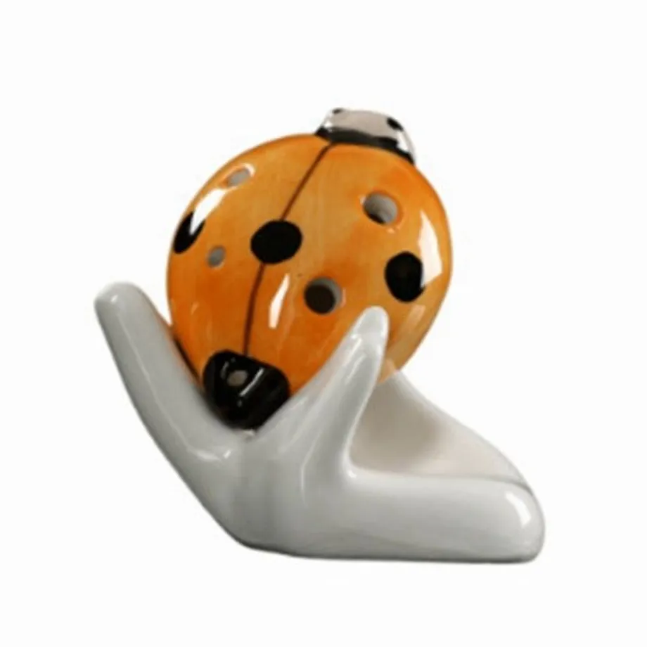 Lady Beetle Ocarina 6 jamkové píšťalky pro začátečníky Orffovy nástroje