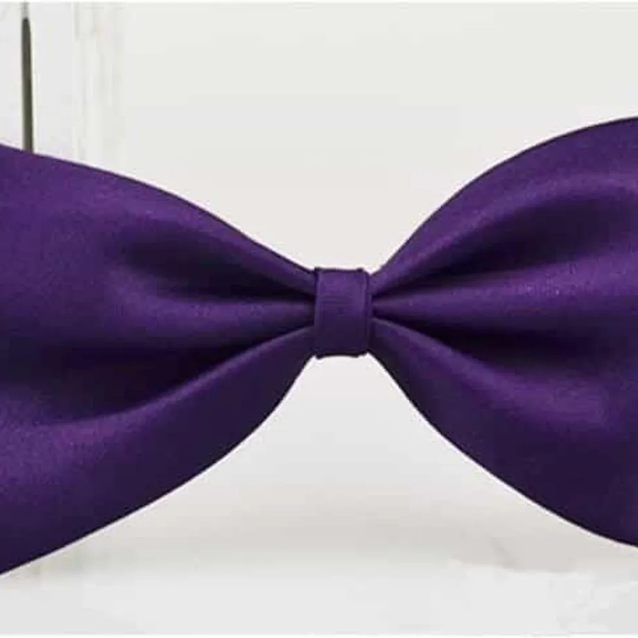 Elegantní nastavitelný motýlek pro psy purple