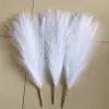 3pcs White