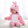 pink rabbit