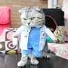 cat-doctors-clothing