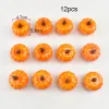 pumpkin-12pcs