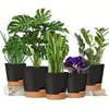 Black Flowerpot(5pcs)