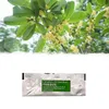 5pcs-osmanthus