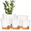 Green Flowerpot(5pcs)