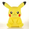 Pikachus 24cm