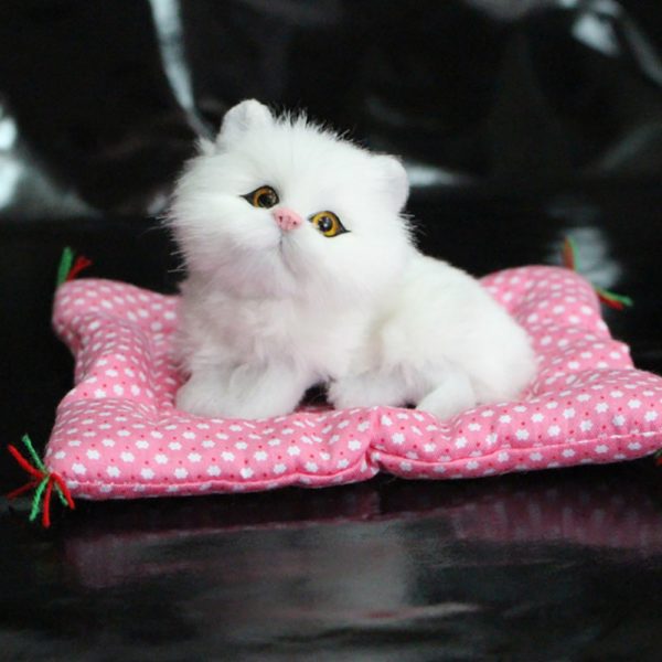 Chlupatá kočička na polštářku jako opravdová - bílá a hnědá