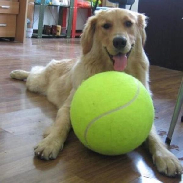 Velký tenisový míč pro psy