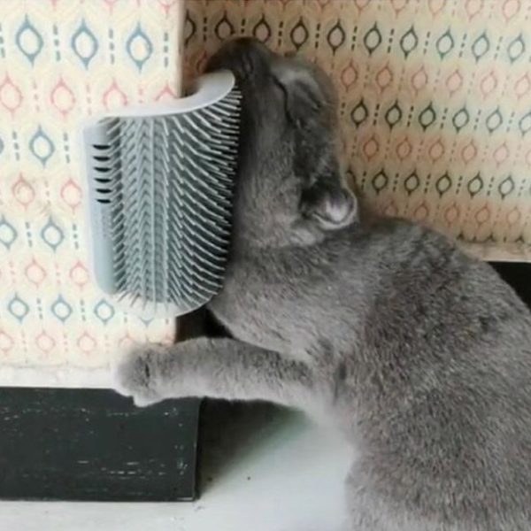 Masážní kartáč pro kočky - rohový