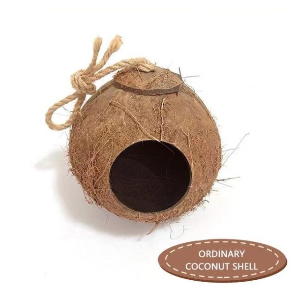 Ptačí hnízdo z kokosové skořápky - A